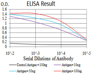 E - Mouse Monoclonal Antibody to AKT1 AO2331a
